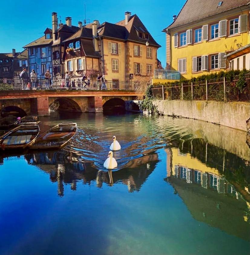 Maison 1708 - Rue Du Canard - City Center Colmar Kültér fotó