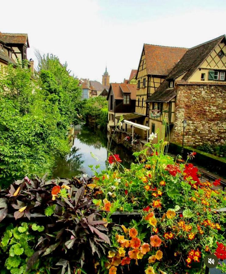 Maison 1708 - Rue Du Canard - City Center Colmar Kültér fotó
